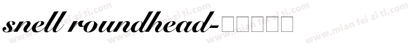 snell roundhead字体转换